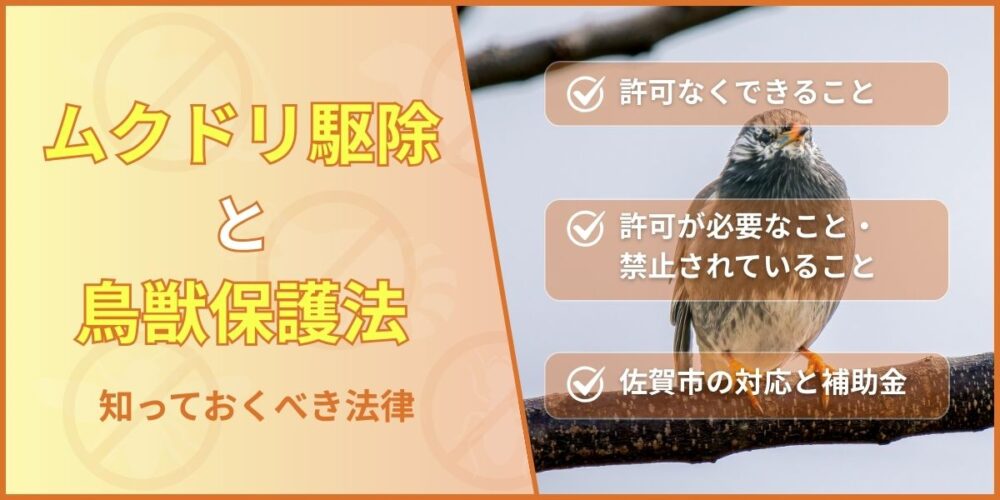 ムクドリ駆除と鳥獣保護法｜知っておくべき法律
