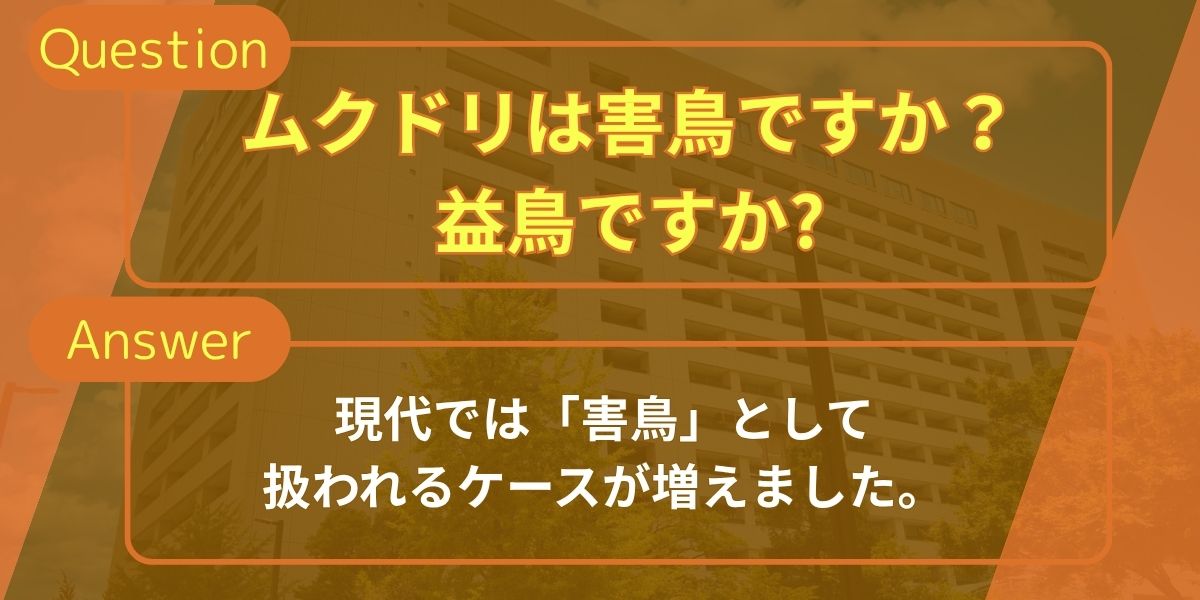 ムクドリは害鳥ですか？益鳥ですか?