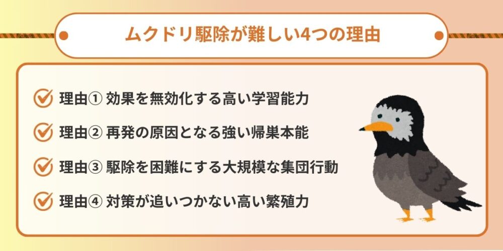 ムクドリ駆除が難しい4つの理由