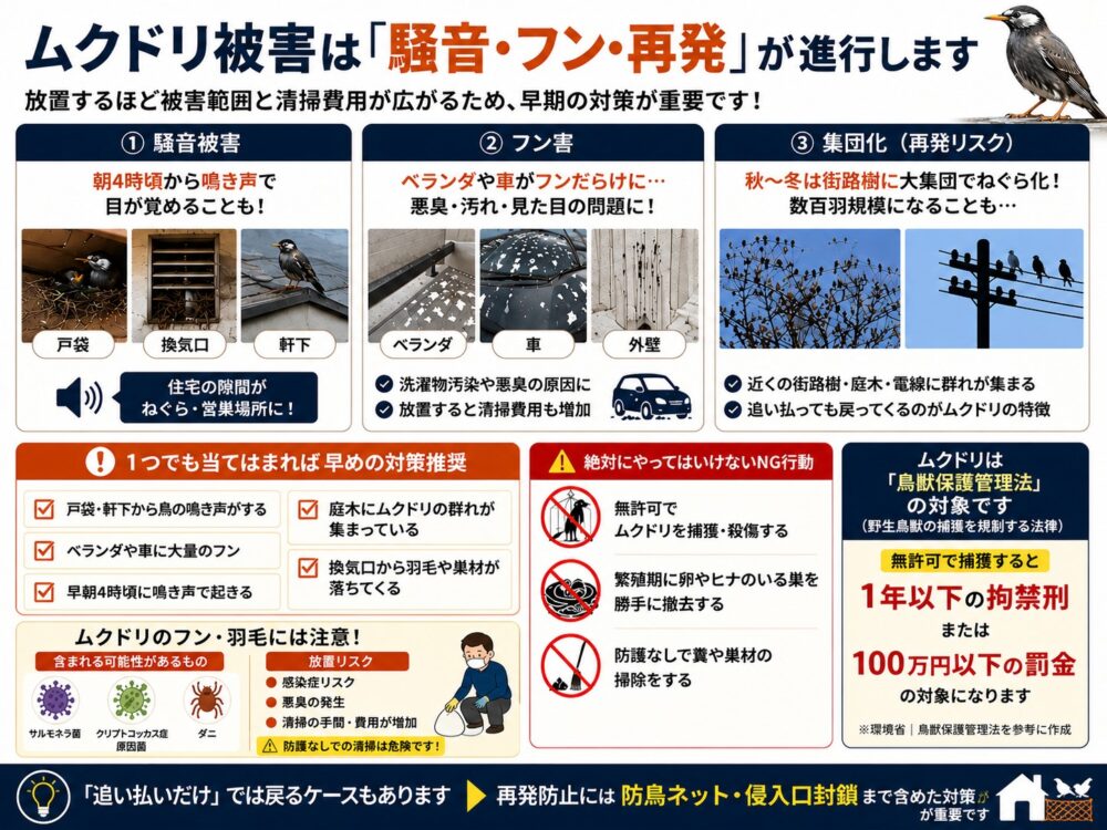 大分のムクドリ駆除は「追い払い+侵入防止」が最適解