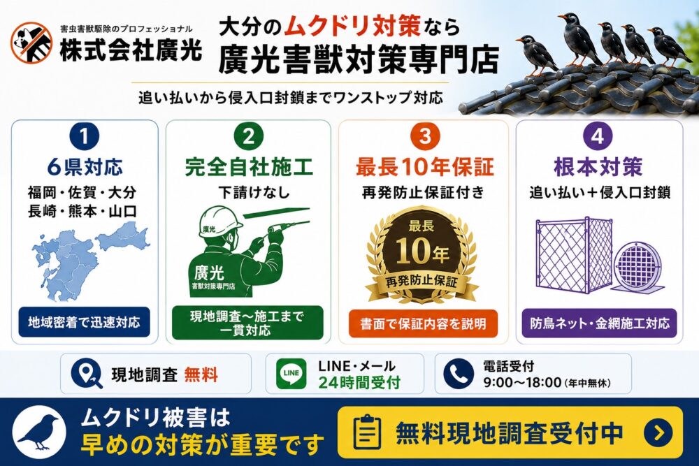 廣光-大分のムクドリ対策