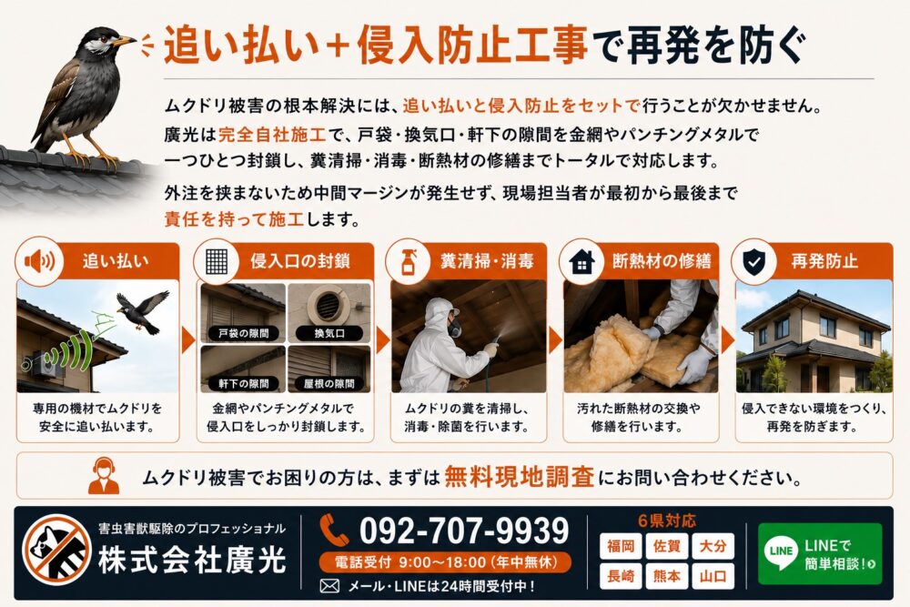 おすすめ④ムクドリ対策