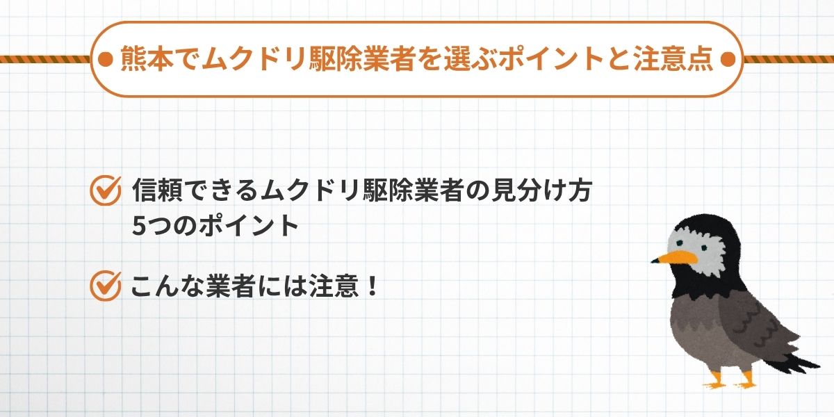 熊本でムクドリ駆除業者を選ぶポイントと注意点
