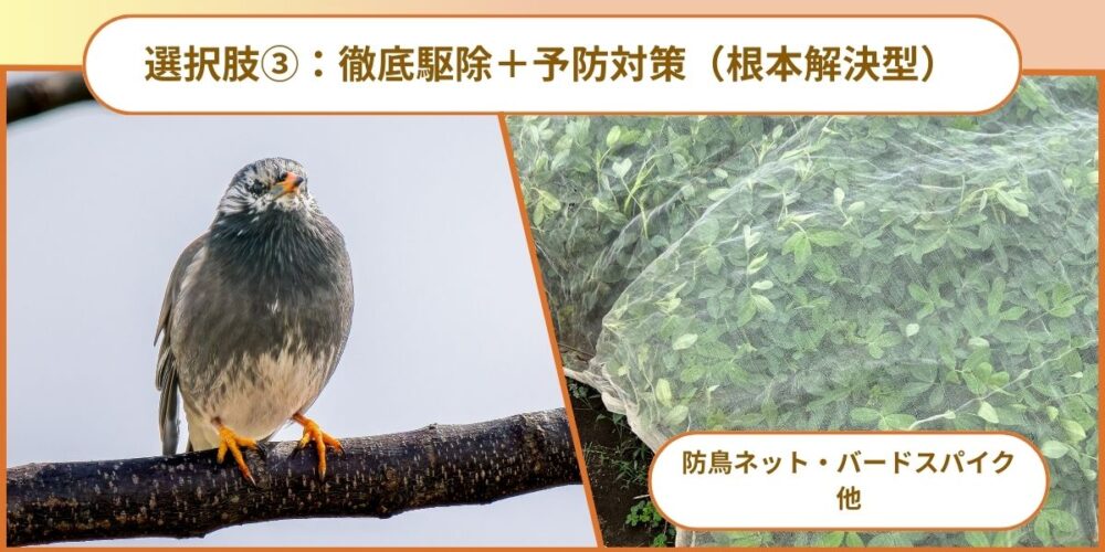 選択肢③：徹底駆除＋予防対策（根本解決型）★おすすめ
