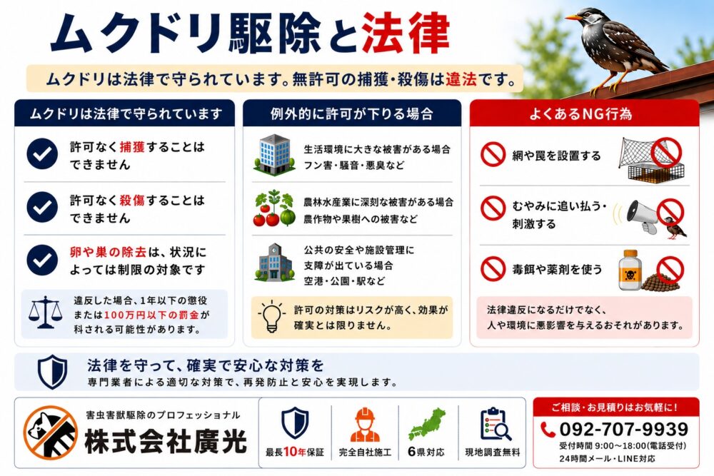 ムクドリ駆除と法律