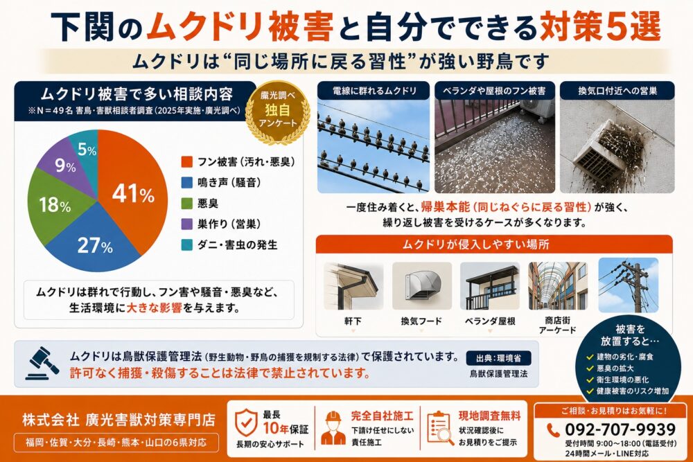 下関のムクドリ被害と自分でできる対策5選