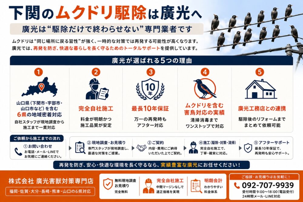 下関のムクドリ駆除は廣光へ