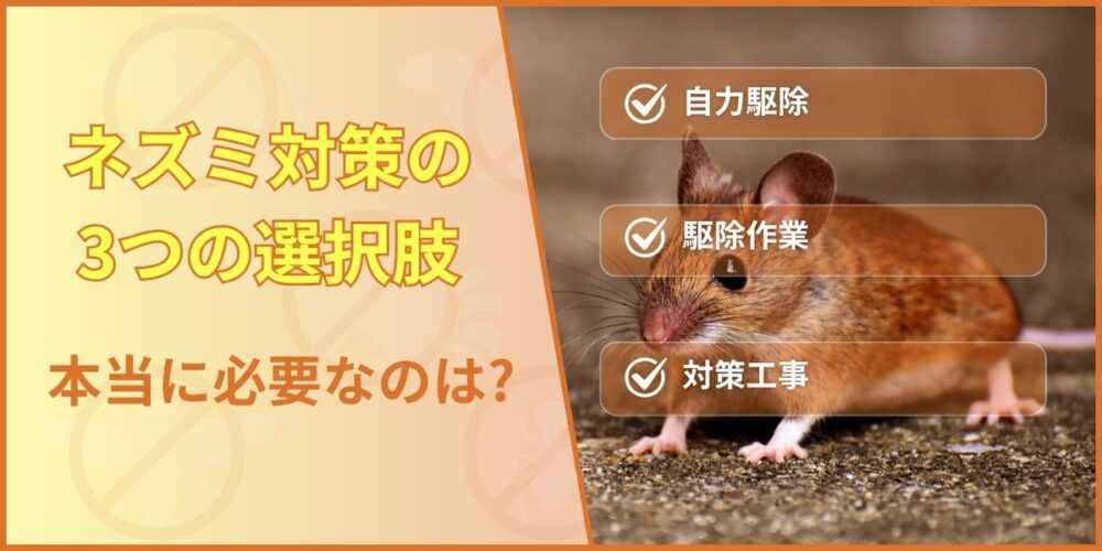 ネズミ対策の3つの選択肢