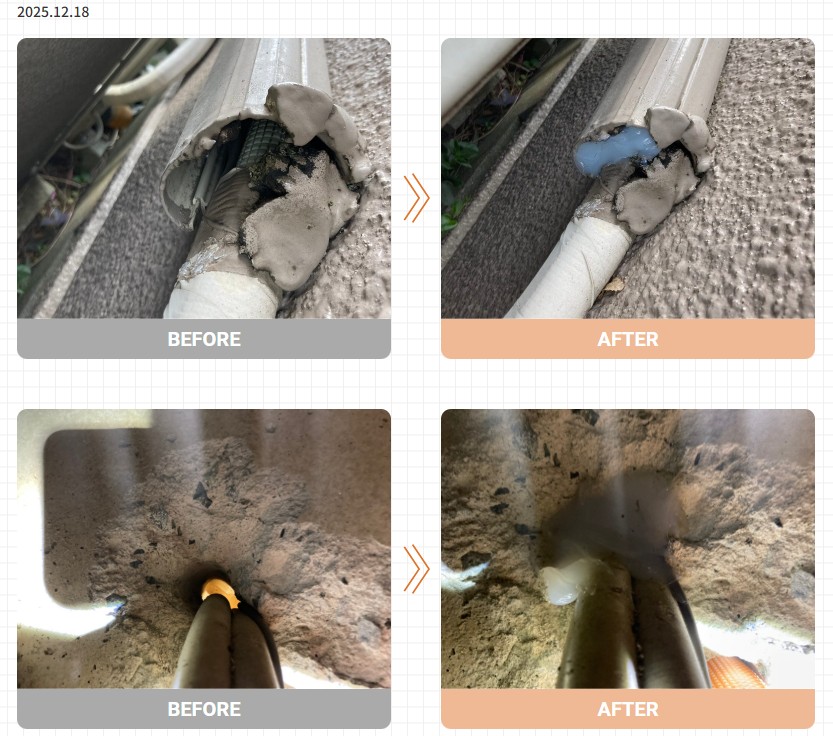 ネズミ駆除　事例