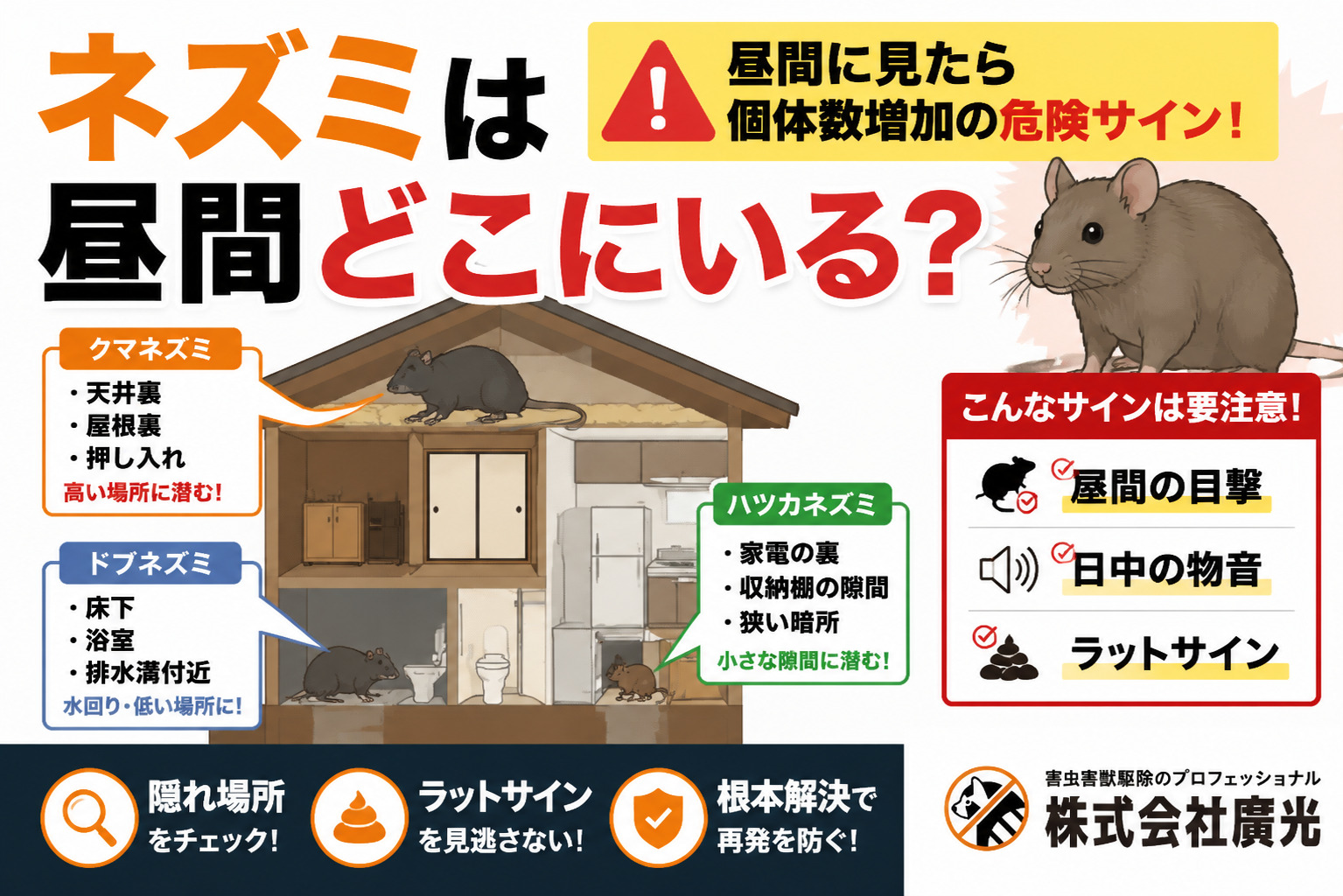 ネズミは昼間どこにいる？隠れ場所・ラットサインと早期発見のコツを