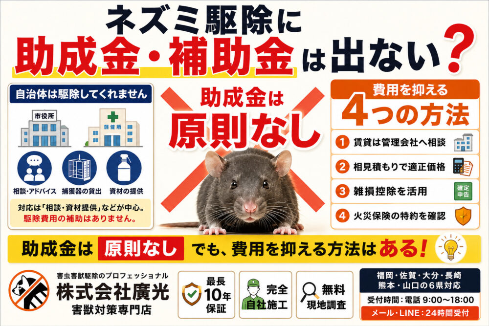 ネズミ駆除に助成金・補助金は出ない？費用を安くする4つの方法まとめ