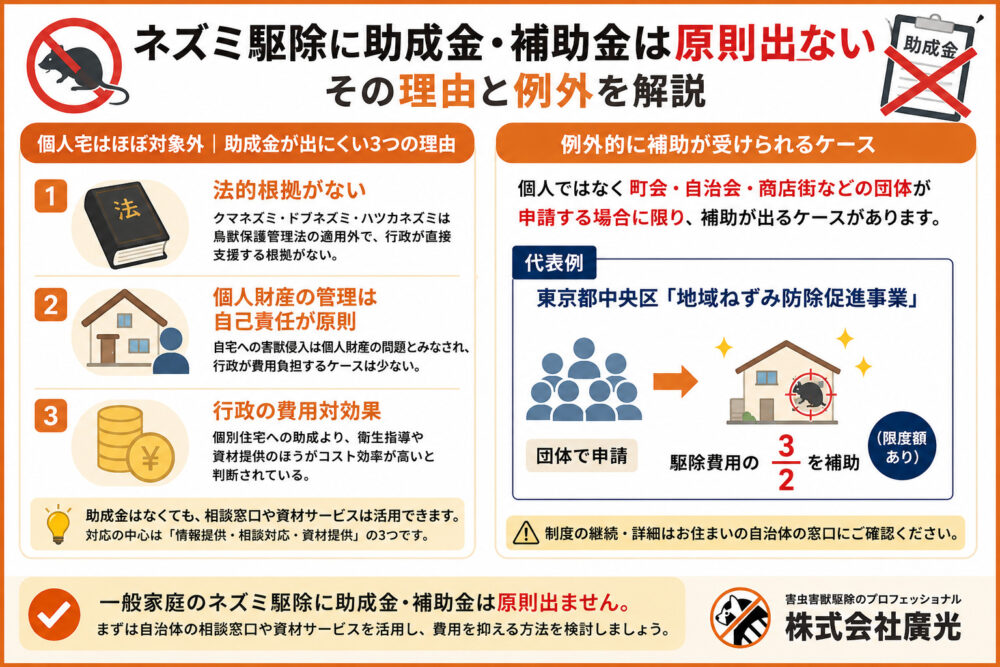 ネズミ駆除に助成金・補助金は原則出ない｜その理由と例外を解説