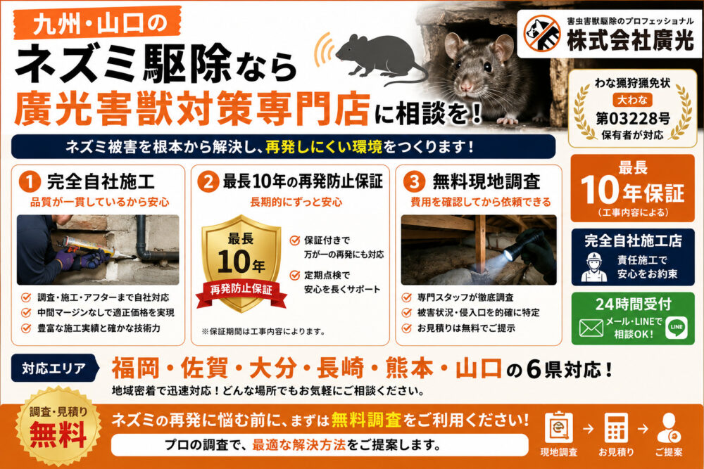 九州・山口のネズミ駆除なら廣光害獣対策専門店に相談を