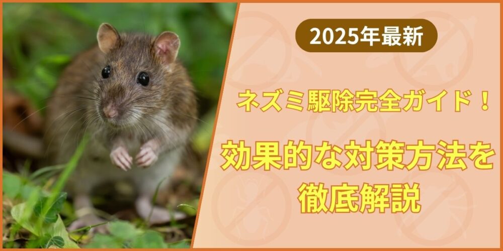 ネズミ駆除完全ガイド！効果的な対策方法を徹底解説【2025年最新】