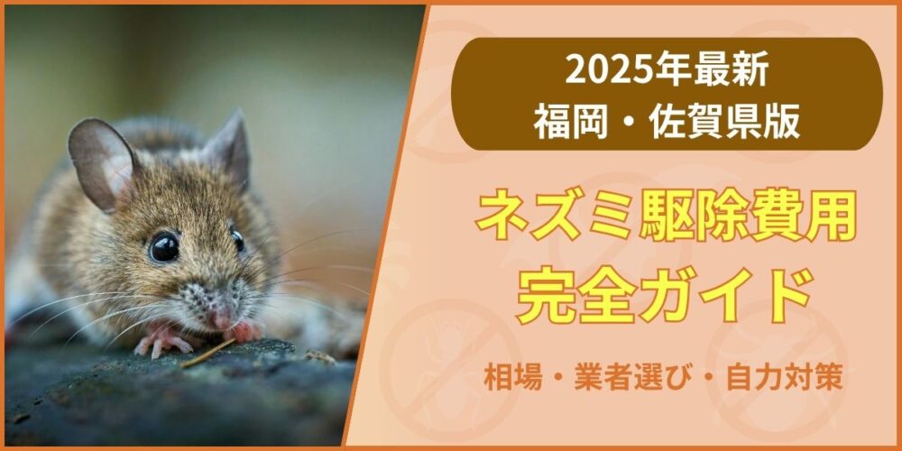 福岡・佐賀のネズミ駆除費用完全ガイド｜相場・業者選び・自力対策【2025年最新】