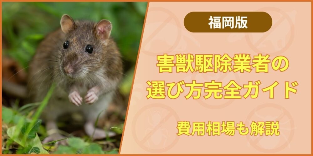 【福岡版】害獣駆除業者の選び方完全ガイド｜費用相場も解説