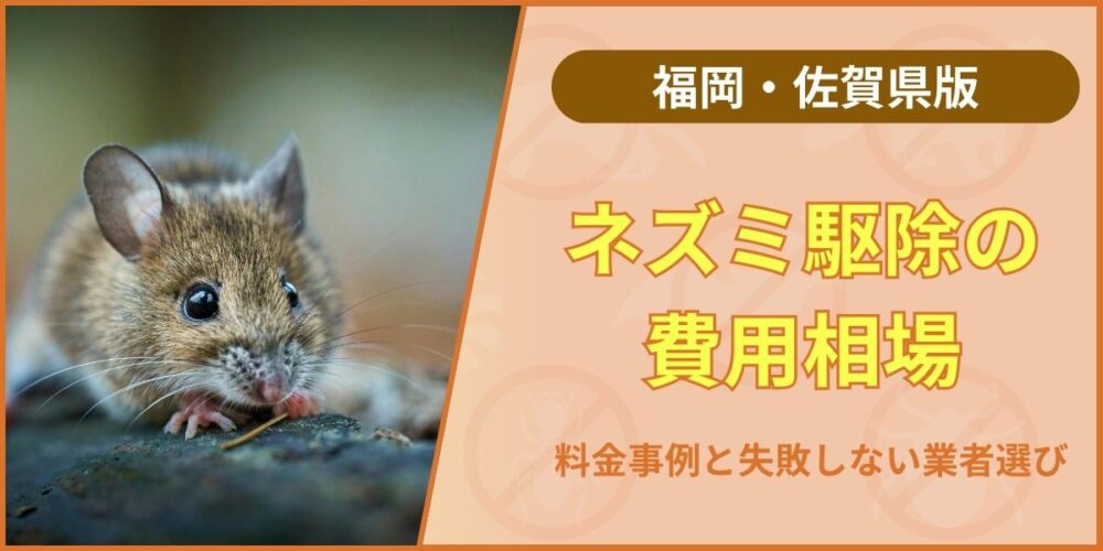 ネズミ駆除の費用相場｜福岡・佐賀の料金事例と失敗しない業者選び