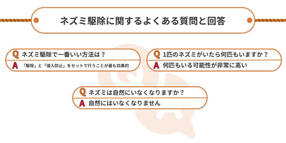 ネズミ駆除に関するよくある質問