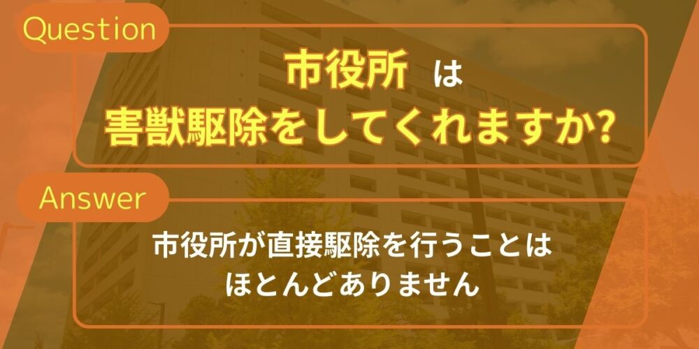 市役所に相談すればムクドリを駆除してもらえますか?