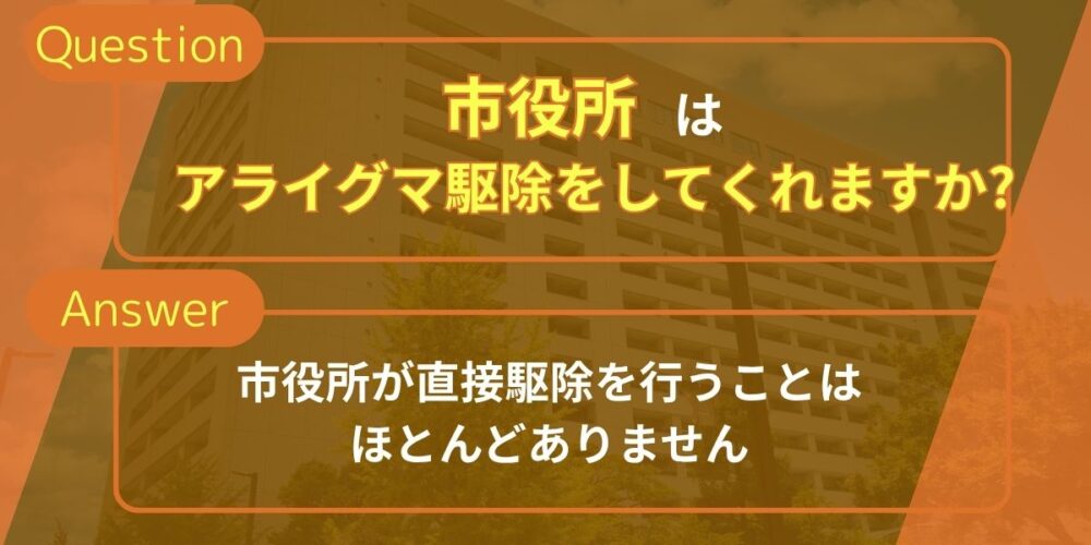 市役所駆除してくれる？
