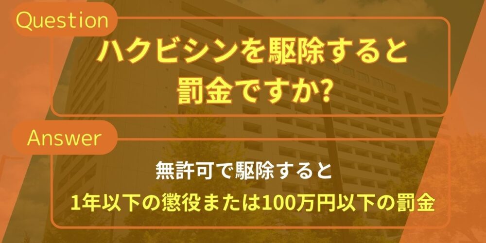 ハクビシンを駆除すると罰金ですか