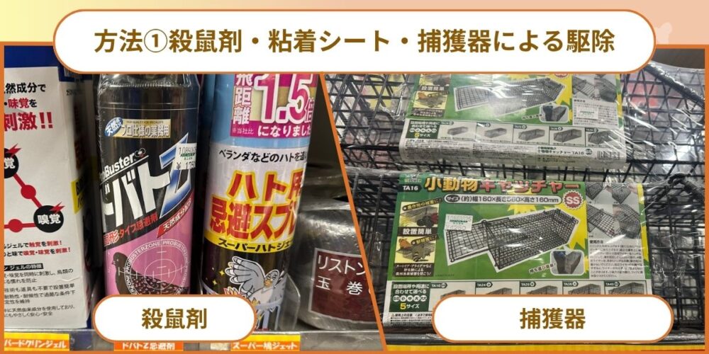殺鼠剤・粘着シート・捕獲器による駆除
