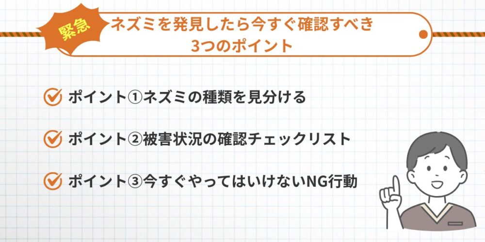 ネズミを発見したら今すぐ確認するポイント