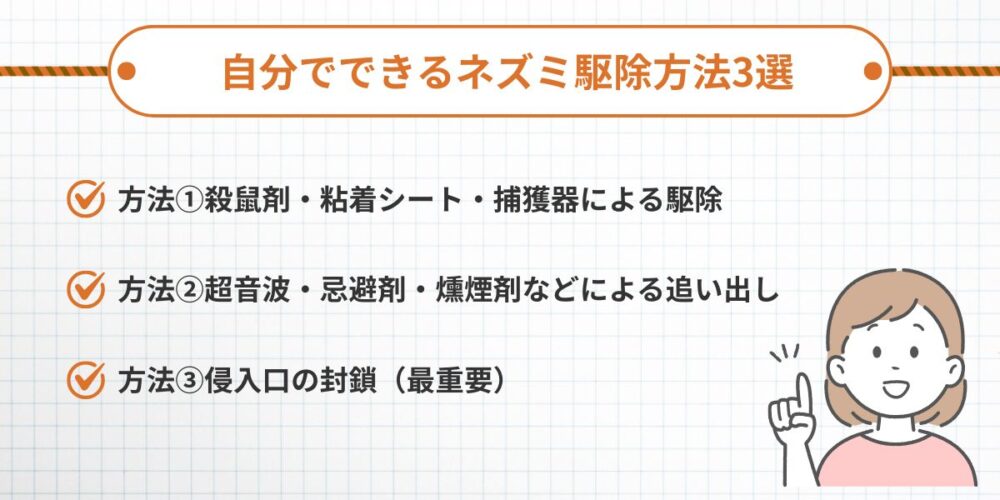 自分でできるネズミ駆除方法