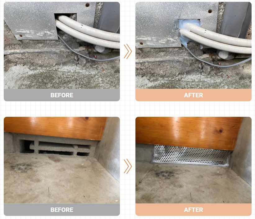 廣光 ネズミ駆除 事例