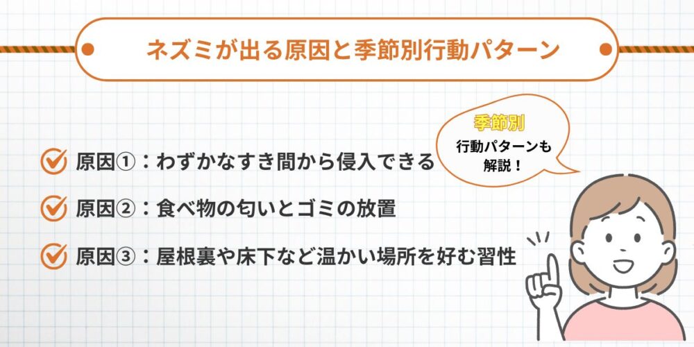 ネズミが出る原因と季節別行動パターン