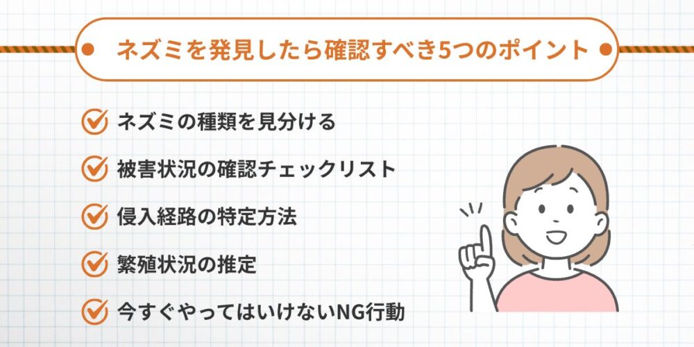 ネズミを発見したら確認すべき5つのポイント