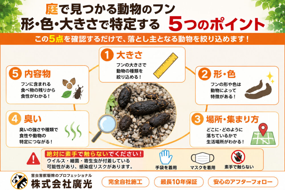 庭で見つかる動物のフン|形・色・大きさで特定する5つのポイント