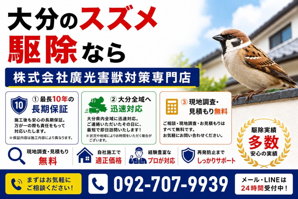 大分のスズメ駆除なら|株式会社廣光害獣対策専門店