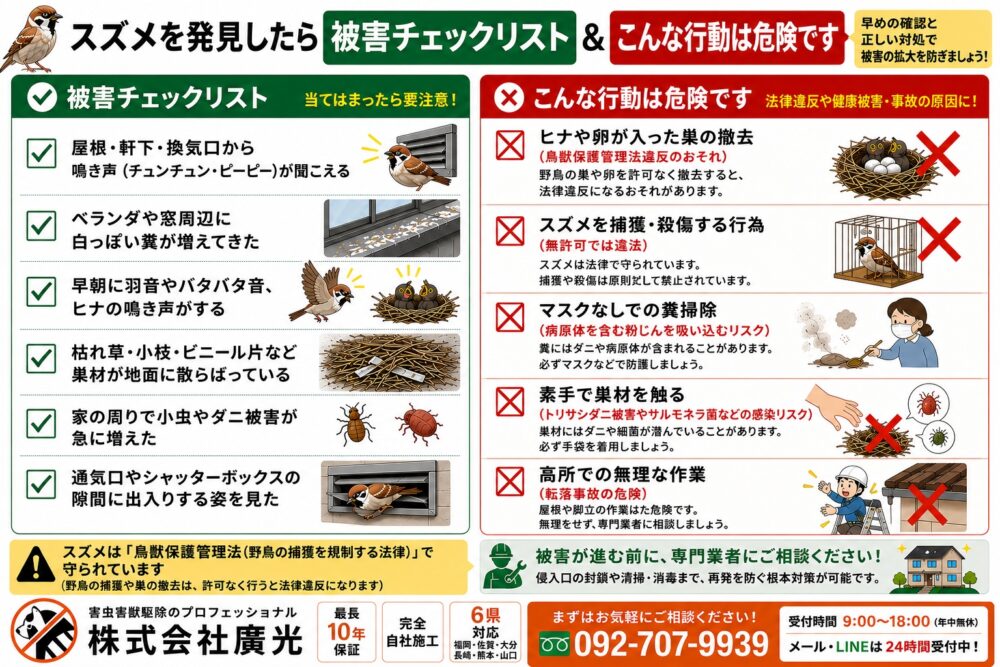 スズメを発見したら