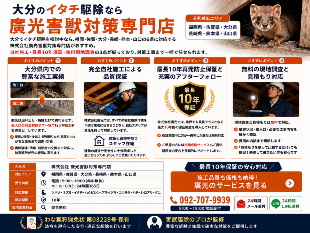 大分のイタチ駆除は廣光