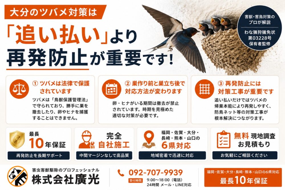 大分のツバメ駆除費用相場｜3つの選択肢と後悔しない選び方を解説
