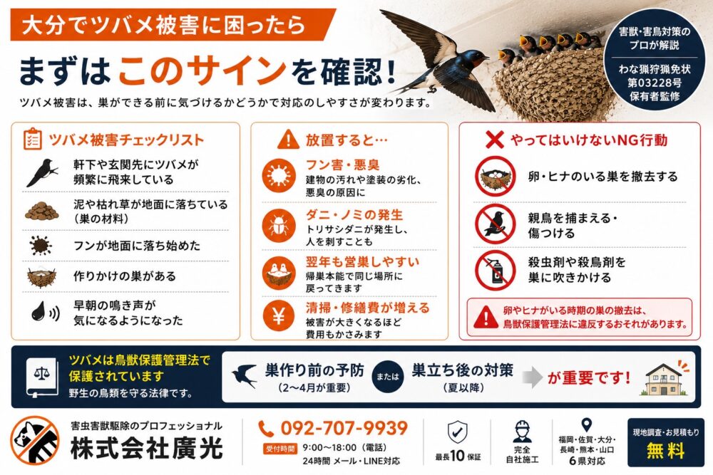 大分ツバメ見つけたらこのサイン