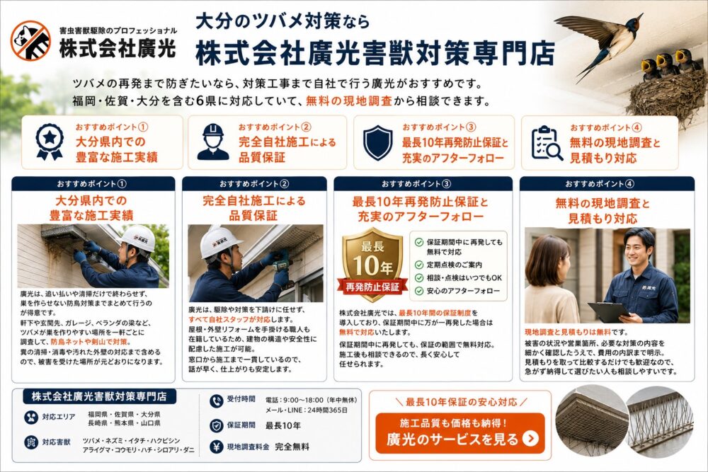 大分ツバメ廣光