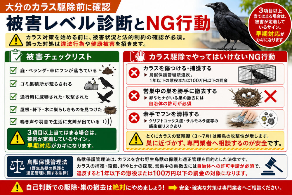 大分のカラス駆除前に確認｜被害レベル診断とNG行動