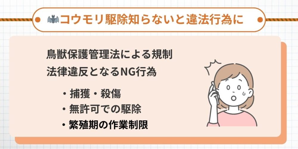 北九州コウモリ法的違反行為