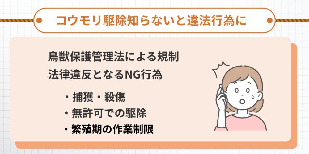 福岡コウモリ‐法令と罰則