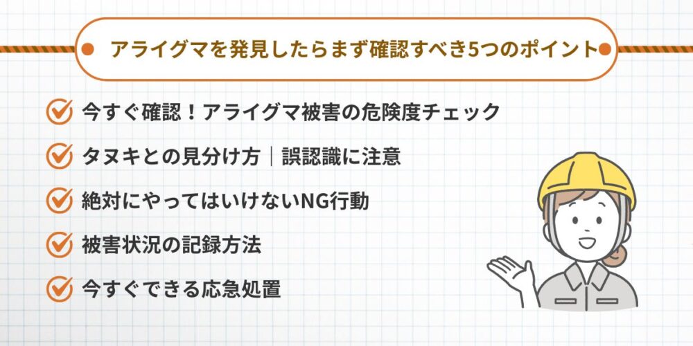 【緊急】アライグマを発見したらまず確認すべき5つのポイント
