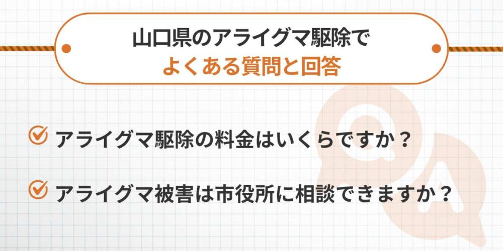山口県のアライグマ駆除でよくある質問と回答
