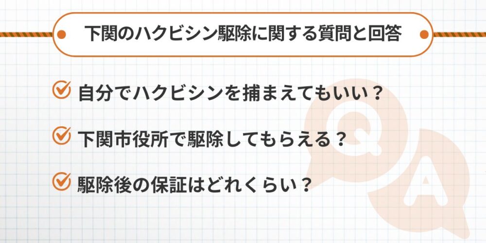 下関のハクビシン駆除に関するよくある質問