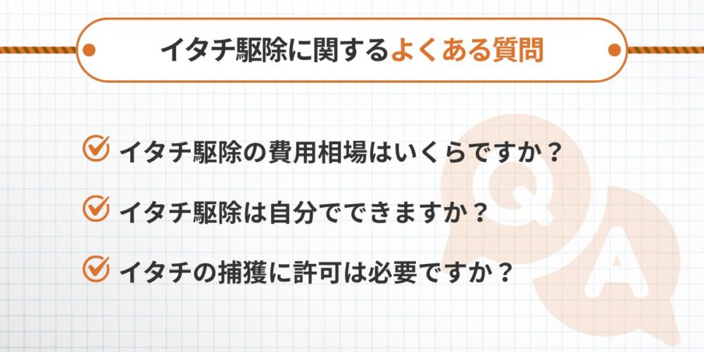 久留米市のイタチ駆除でよくある質問
