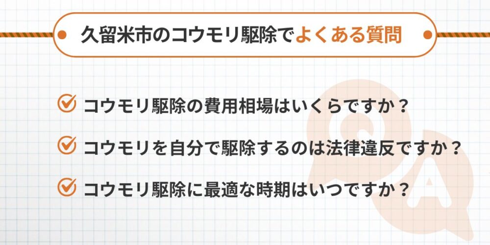 久留米市のコウモリ駆除でよくある質問