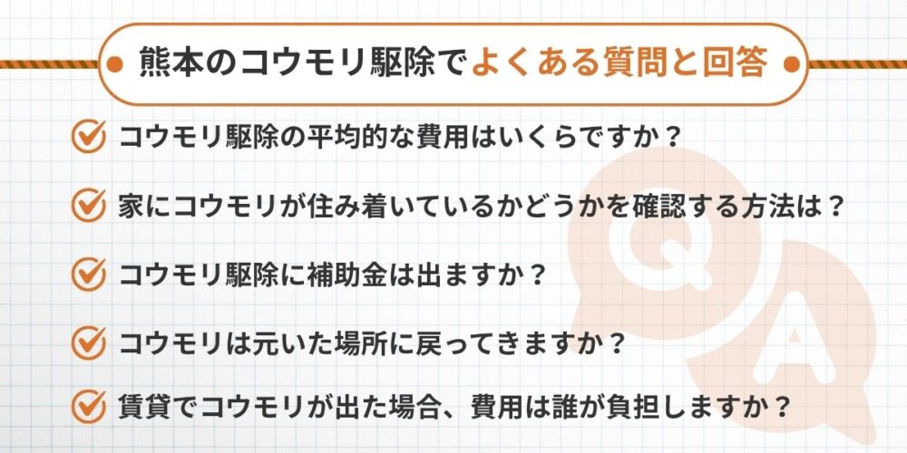 熊本のコウモリ駆除でよくある質問と回答