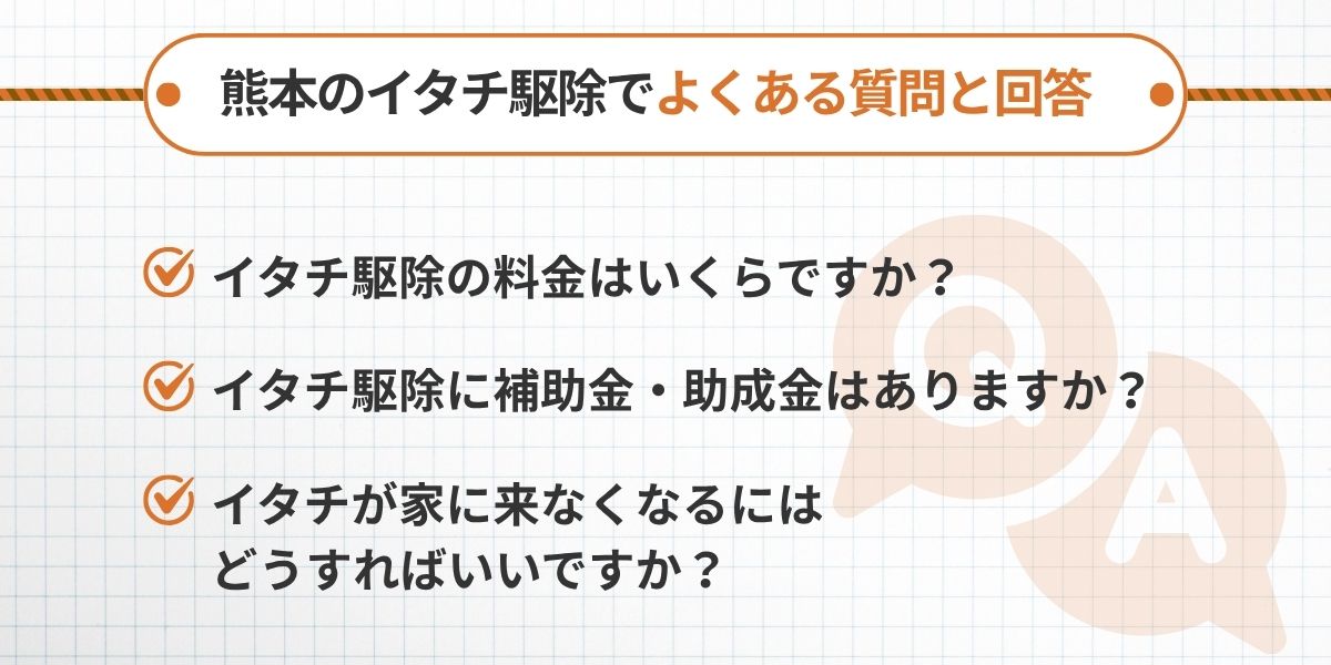 熊本のイタチ駆除でよくある質問と回答