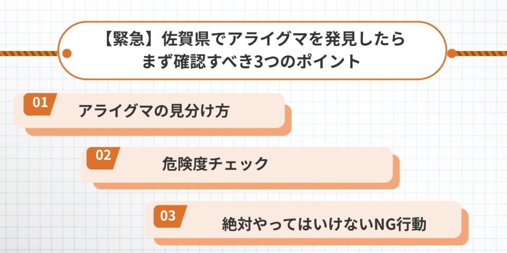 佐賀県でアライグマを発見したらまず確認すべき3つのポイント