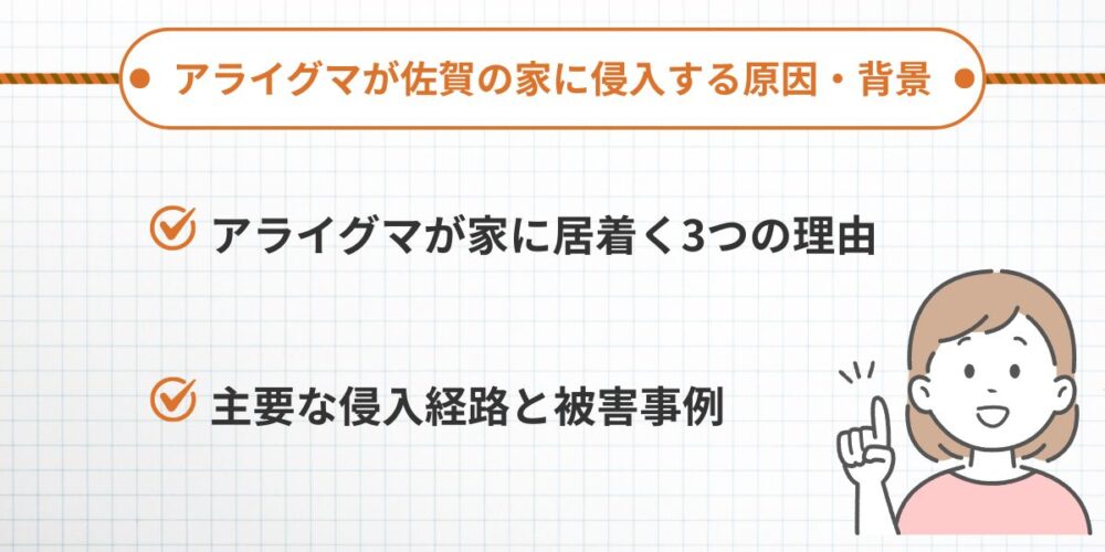 アライグマが佐賀の家に侵入する原因・背景